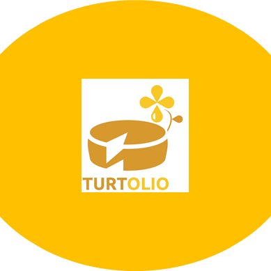 Proyecto Turtolio